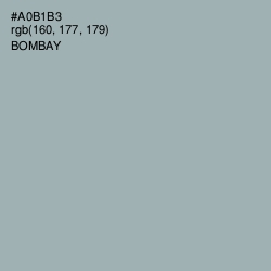#A0B1B3 - Bombay Color Image