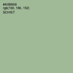 #A0BA98 - Schist Color Image