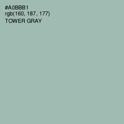 #A0BBB1 - Tower Gray Color Image