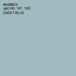 #A0BBC0 - Cadet Blue Color Image