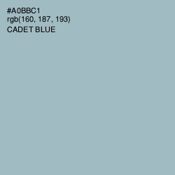#A0BBC1 - Cadet Blue Color Image