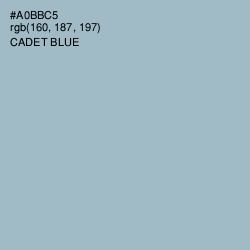 #A0BBC5 - Cadet Blue Color Image