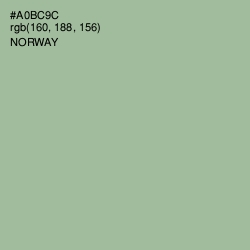 #A0BC9C - Norway Color Image