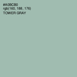 #A0BCB0 - Tower Gray Color Image