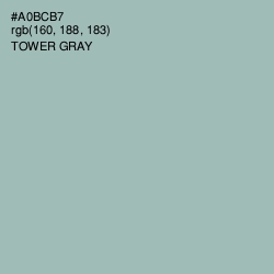 #A0BCB7 - Tower Gray Color Image