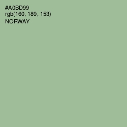 #A0BD99 - Norway Color Image