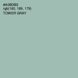 #A0BDB3 - Tower Gray Color Image