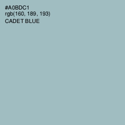 #A0BDC1 - Cadet Blue Color Image