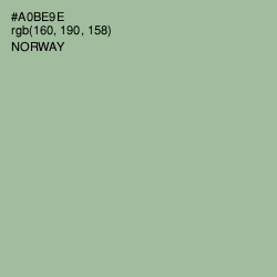 #A0BE9E - Norway Color Image