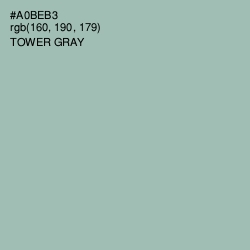 #A0BEB3 - Tower Gray Color Image