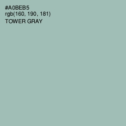 #A0BEB5 - Tower Gray Color Image