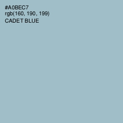 #A0BEC7 - Cadet Blue Color Image