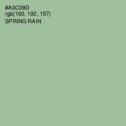 #A0C09D - Spring Rain Color Image