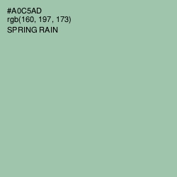 #A0C5AD - Spring Rain Color Image