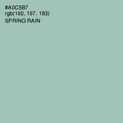 #A0C5B7 - Spring Rain Color Image