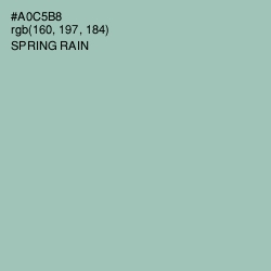 #A0C5B8 - Spring Rain Color Image