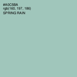 #A0C5BA - Spring Rain Color Image