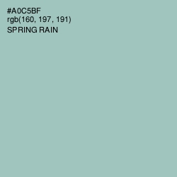 #A0C5BF - Spring Rain Color Image