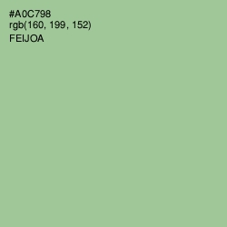 #A0C798 - Feijoa Color Image