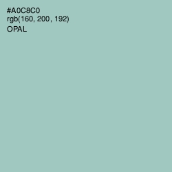 #A0C8C0 - Opal Color Image