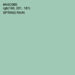 #A0C9B5 - Spring Rain Color Image