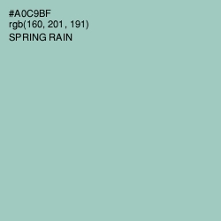 #A0C9BF - Spring Rain Color Image