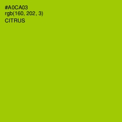 #A0CA03 - Citrus Color Image