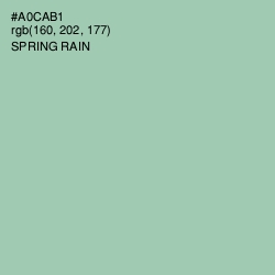 #A0CAB1 - Spring Rain Color Image