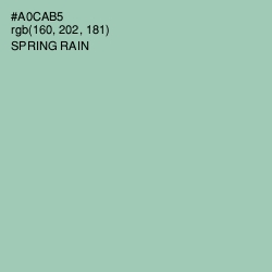 #A0CAB5 - Spring Rain Color Image