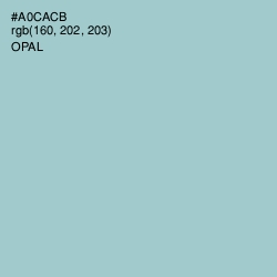 #A0CACB - Opal Color Image