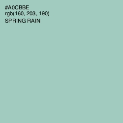 #A0CBBE - Spring Rain Color Image