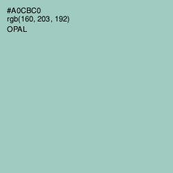 #A0CBC0 - Opal Color Image