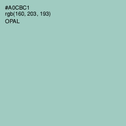 #A0CBC1 - Opal Color Image