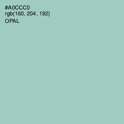 #A0CCC0 - Opal Color Image