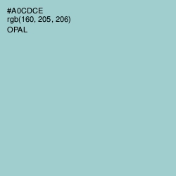 #A0CDCE - Opal Color Image