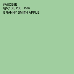 #A0CE9E - Granny Smith Apple Color Image