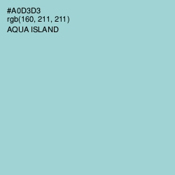 #A0D3D3 - Aqua Island Color Image