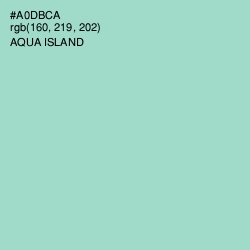 #A0DBCA - Aqua Island Color Image