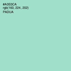 #A0E0CA - Padua Color Image