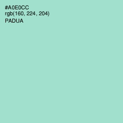 #A0E0CC - Padua Color Image
