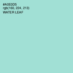 #A0E0D5 - Water Leaf Color Image