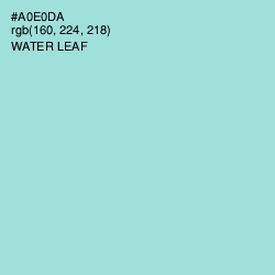 #A0E0DA - Water Leaf Color Image