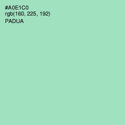 #A0E1C0 - Padua Color Image