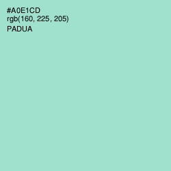 #A0E1CD - Padua Color Image
