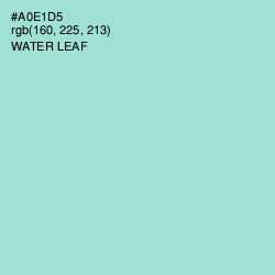 #A0E1D5 - Water Leaf Color Image
