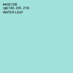 #A0E1DB - Water Leaf Color Image