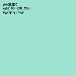 #A0E2D0 - Water Leaf Color Image