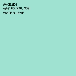 #A0E2D1 - Water Leaf Color Image