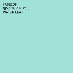 #A0E2D8 - Water Leaf Color Image