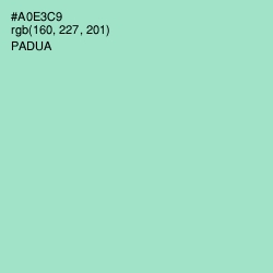 #A0E3C9 - Padua Color Image